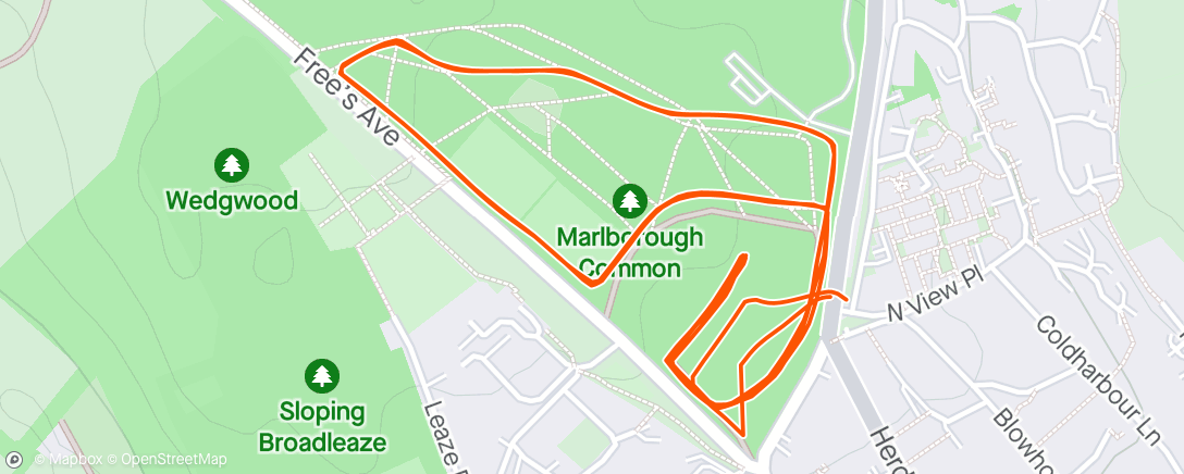 Map of the activity, Marlborough parkrun