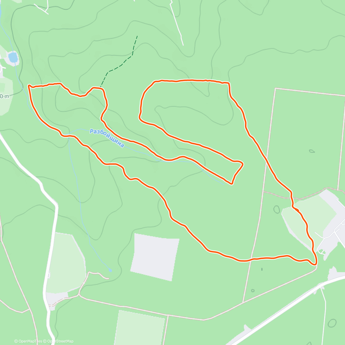 Карта физической активности (Новогодний трейл от SambaTrailTeam)