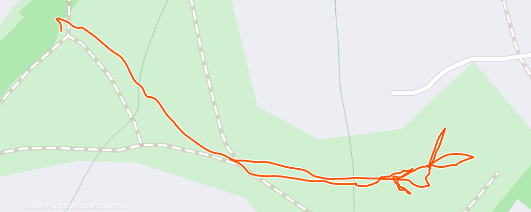 Mappa dell'attività Afternoon Dog Walk 🐾