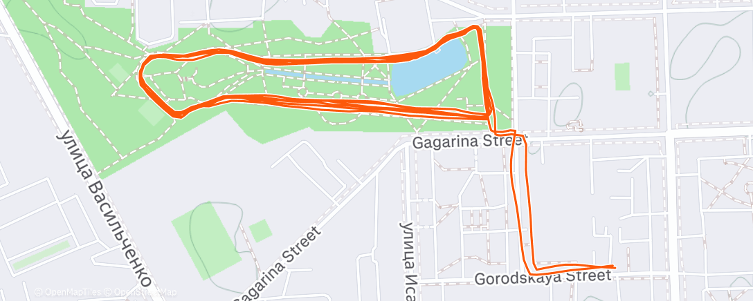 Map of the activity, Evening Run