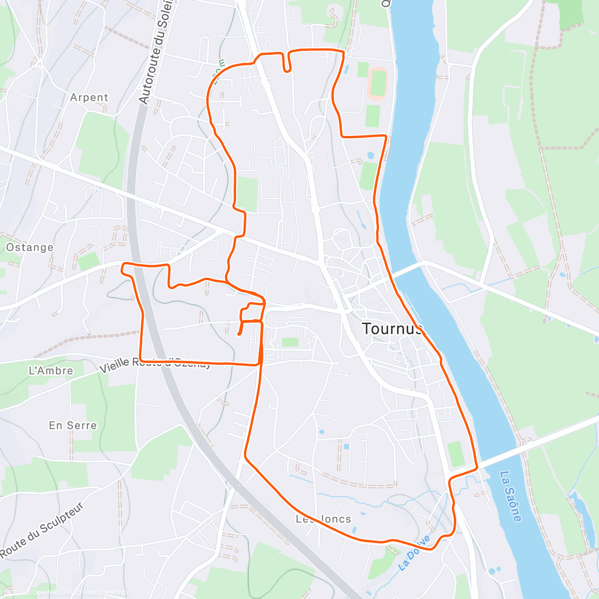 Карта физической активности (Running session: « Family Run » 🫶🏼)