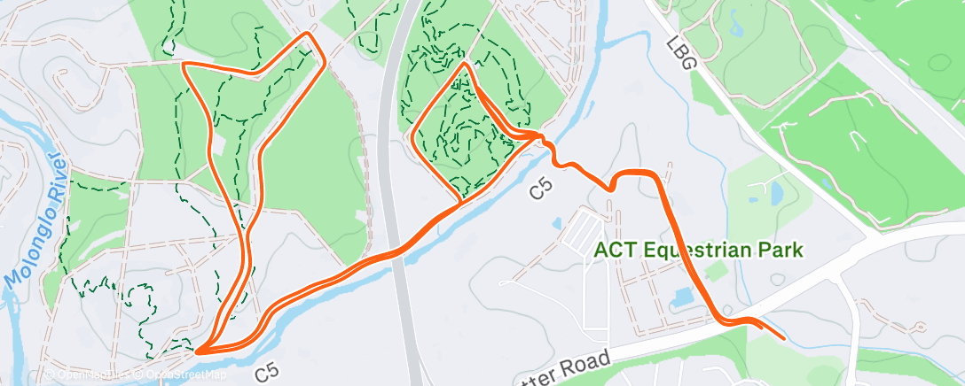 Карта физической активности (Morning Run)