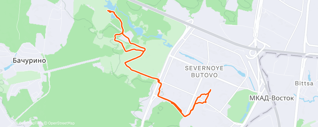 Map of the activity, Утренний забег