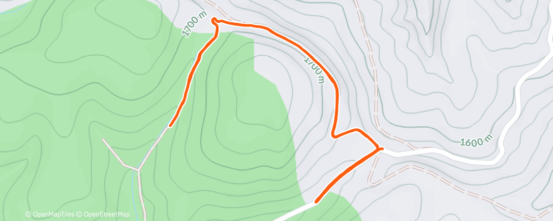 Карта физической активности (Carrera a la hora del almuerzo)