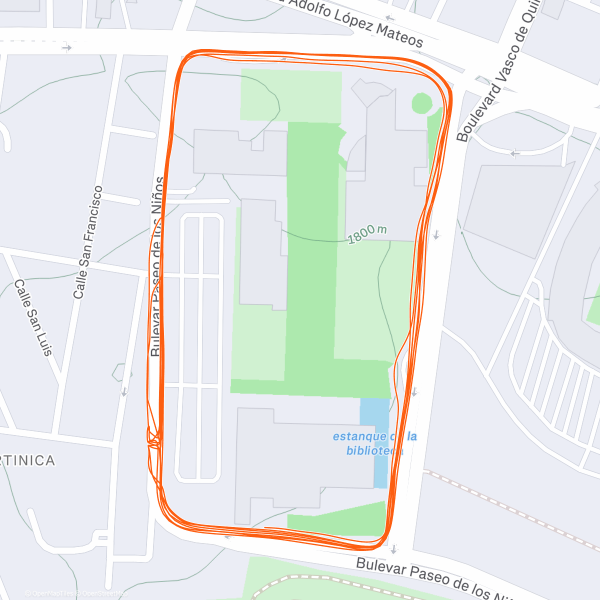 Карта физической активности (Carrera por la mañana)