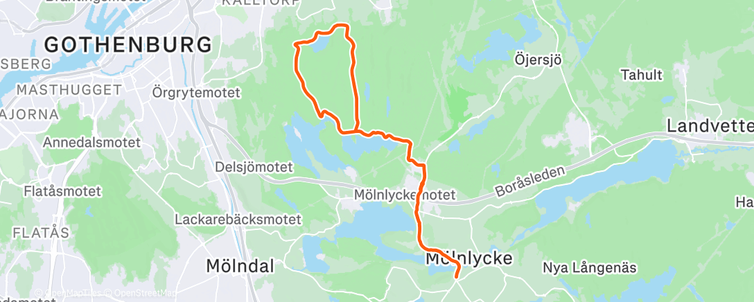 Карта физической активности (Morning Run)