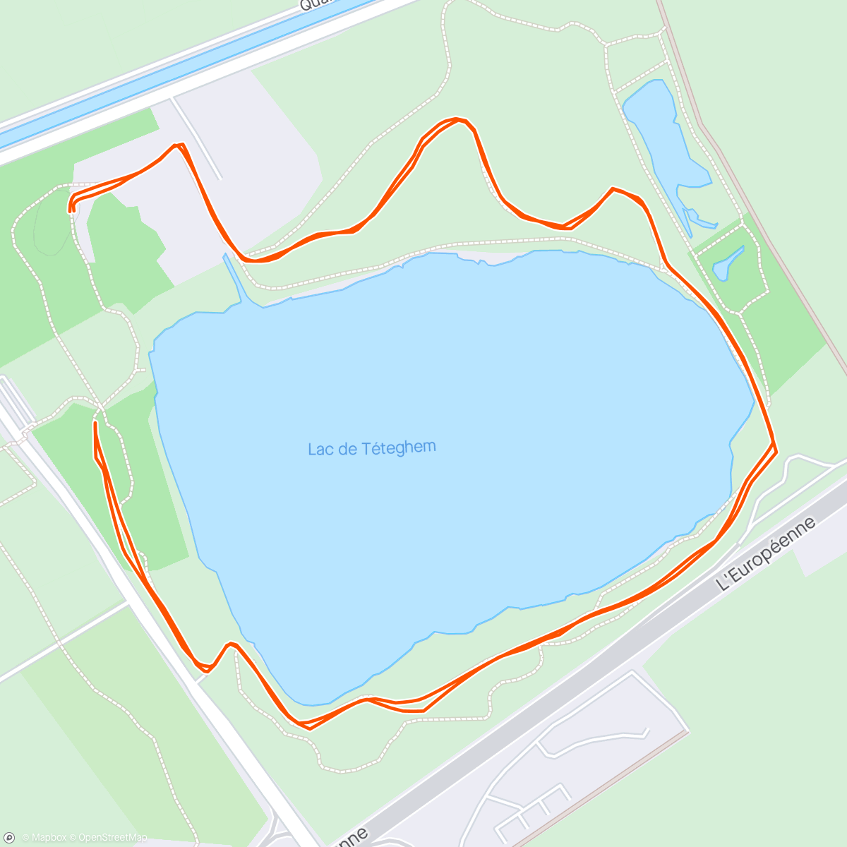 Карта физической активности (Run Lac de Tétéghem 2024 #1)