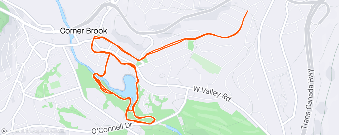 Map of the activity, Stream trail tempo intervals 🌞