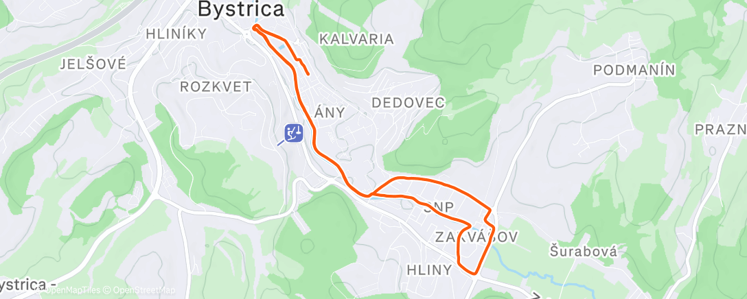 Map of the activity, Morning Run