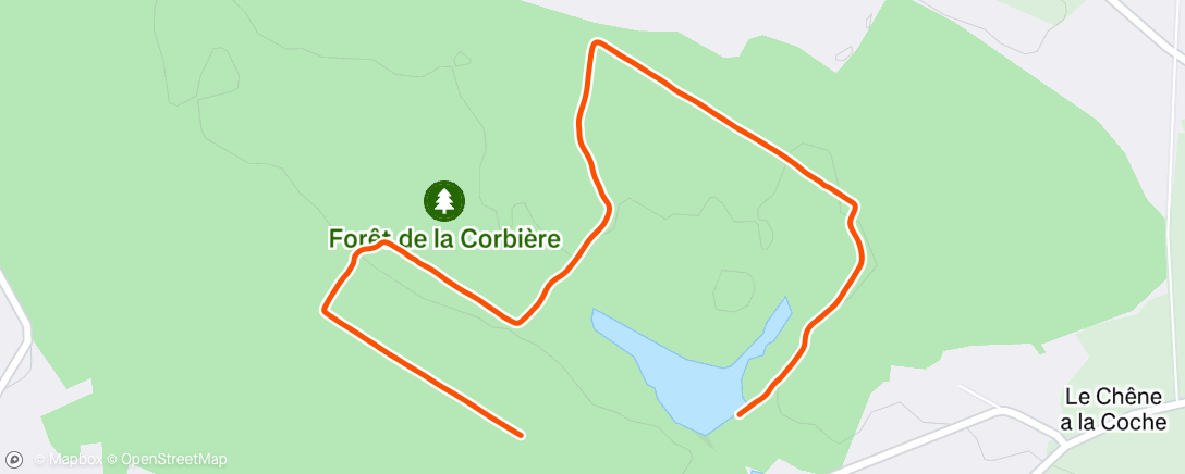 Map of the activity, Afternoon Walk