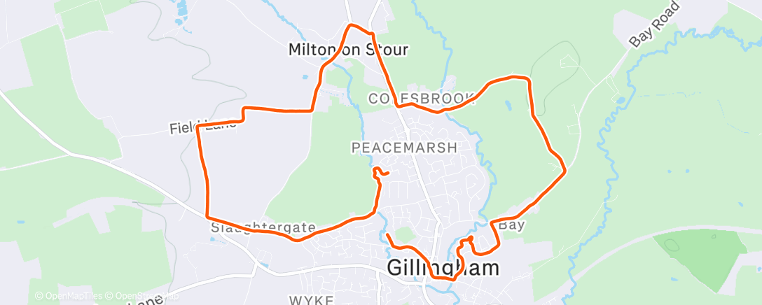 Map of the activity, Pretty minging, wet, cold, dark... 10k!