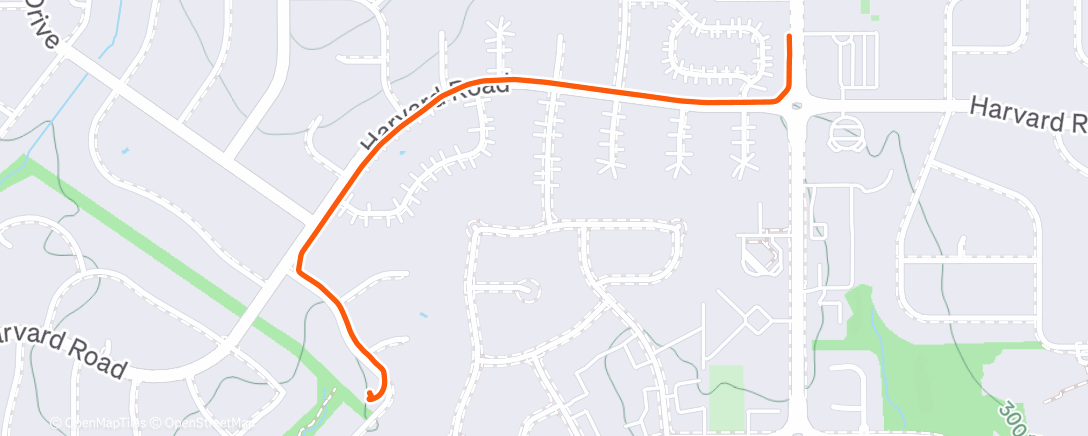 Map of the activity, Night Walk