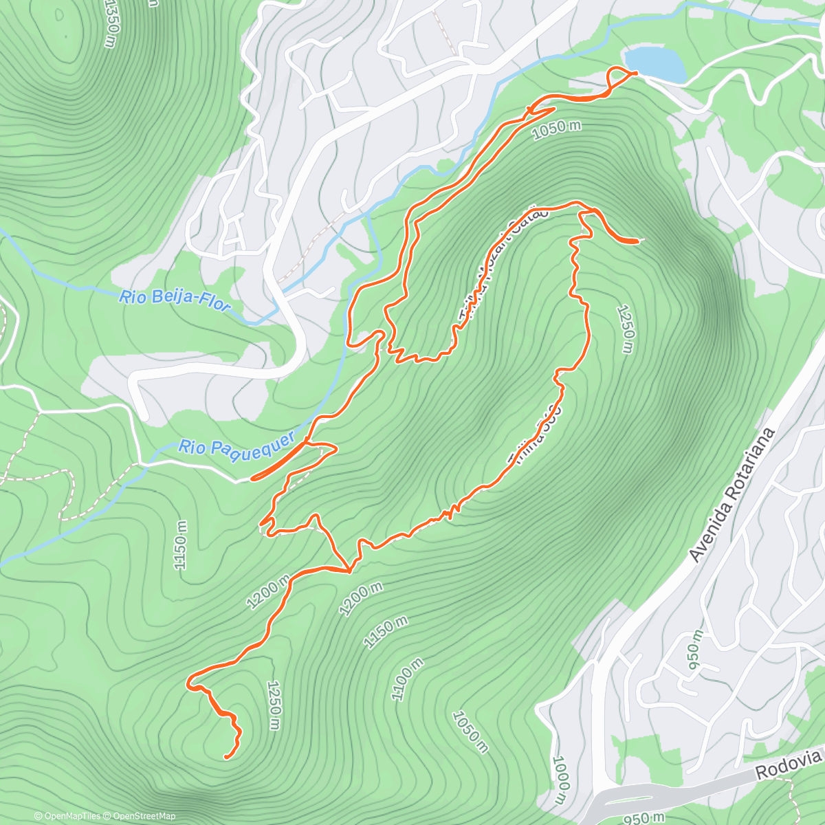 Map of the activity, Morning Hike