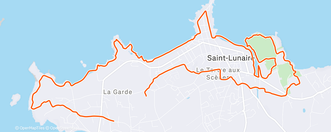 Карта физической активности (Trail le matin)