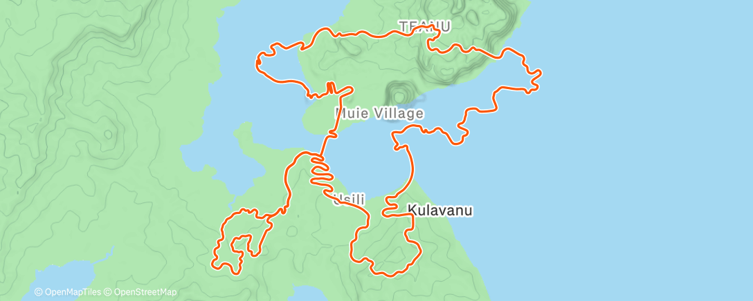 Карта физической активности (Zwift - Bigger Loop in Watopia)