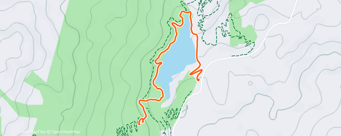 Map of the activity, Morning Run