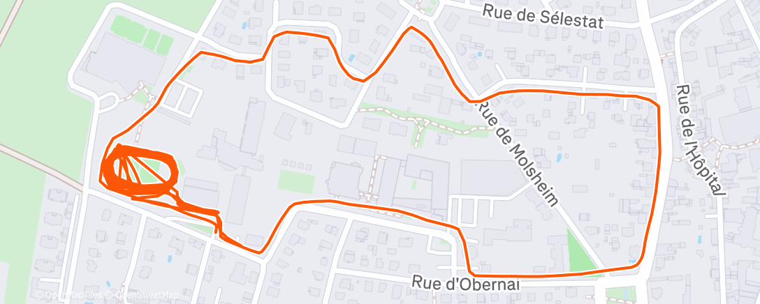 Map of the activity, Evening Run