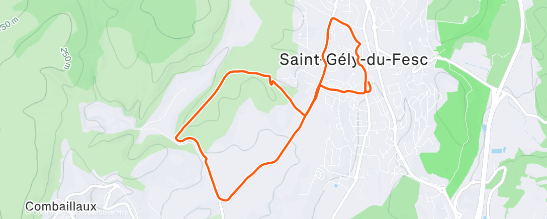 Карта физической активности (Lunch Trail Run)