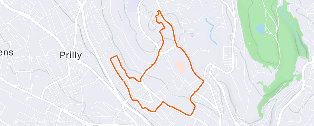 Map of the activity, Evening Run