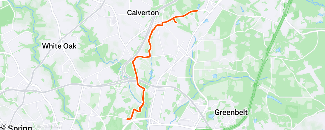 Map of the activity, Afternoon Run