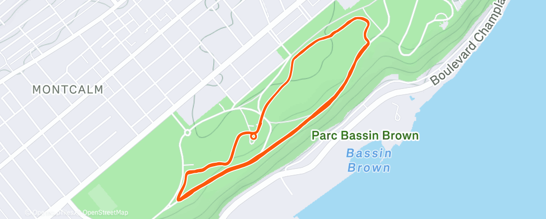 Карта физической активности (Morning Run)