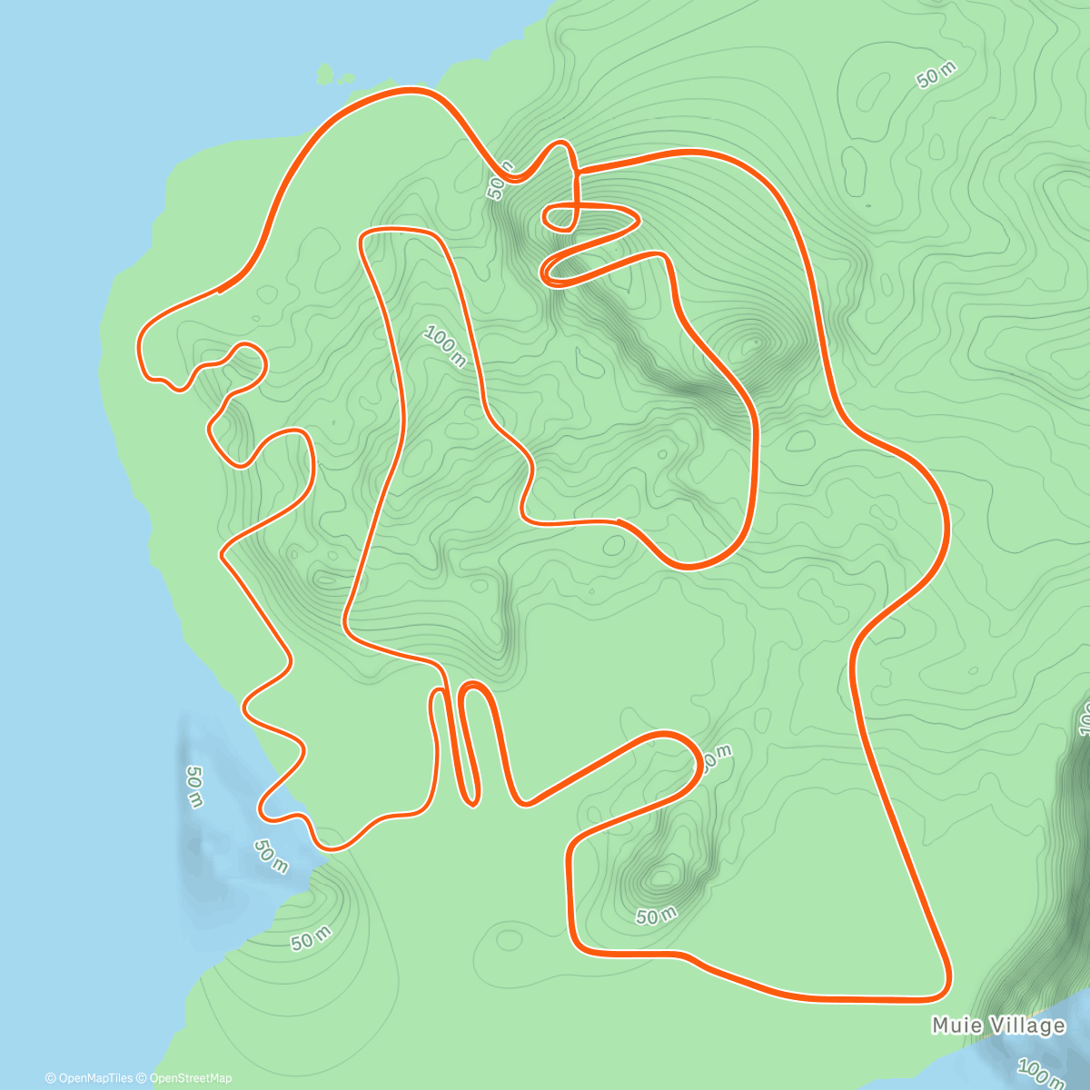 Map of the activity, Zwift - Figure 8 in Watopia