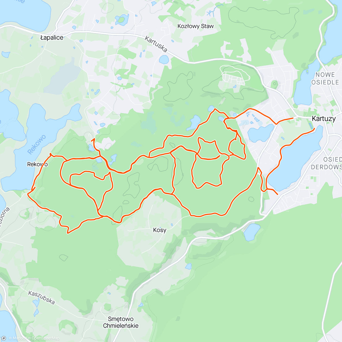 Map of the activity, Kartuzy - las - Łapalice