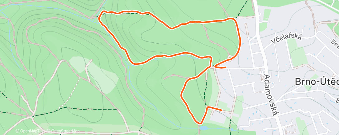 Map of the activity, Afternoon Walk W. 🐕🐕