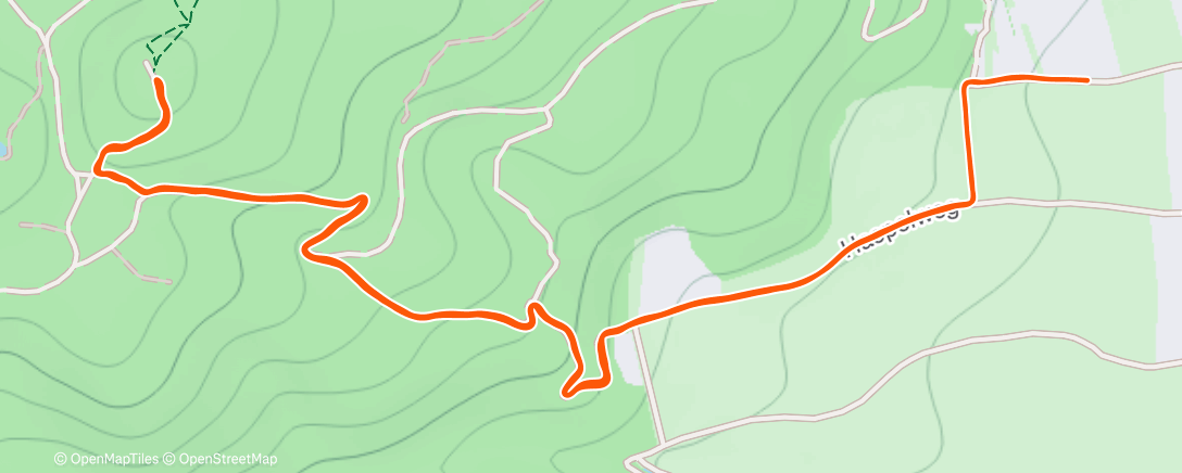 Map of the activity, Morning Trail Run