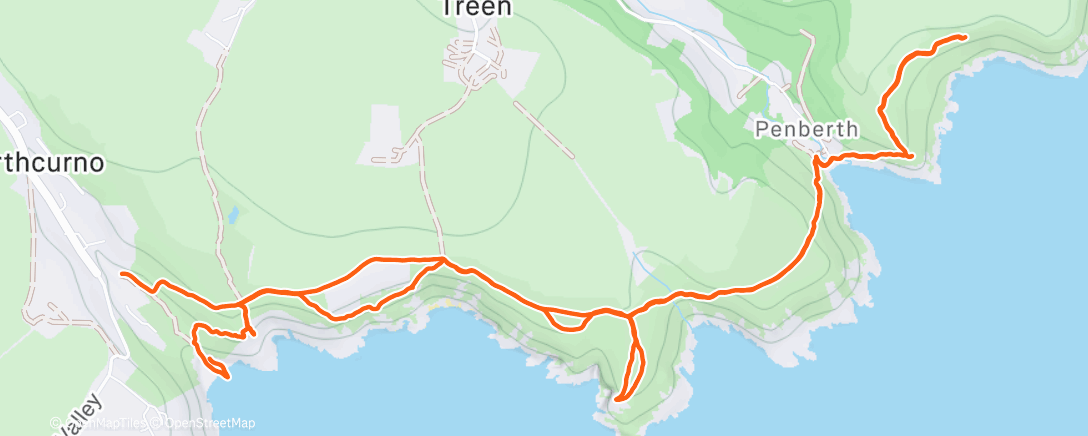 Карта физической активности (Morning Trail Run)