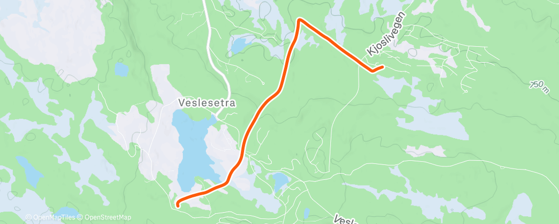 Map of the activity, Home