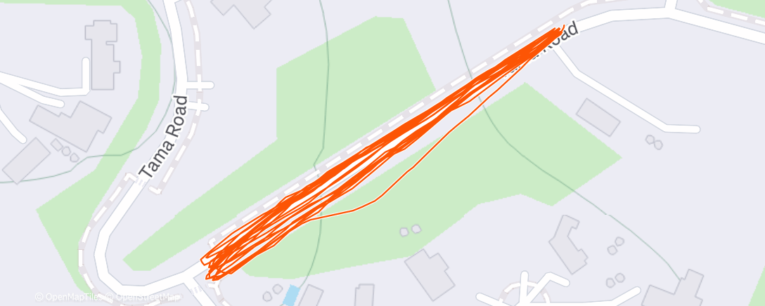 Карта физической активности (Morning Trail Run)