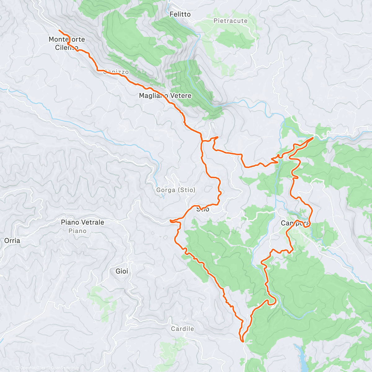 Карта физической активности (Pedalata mattutina)