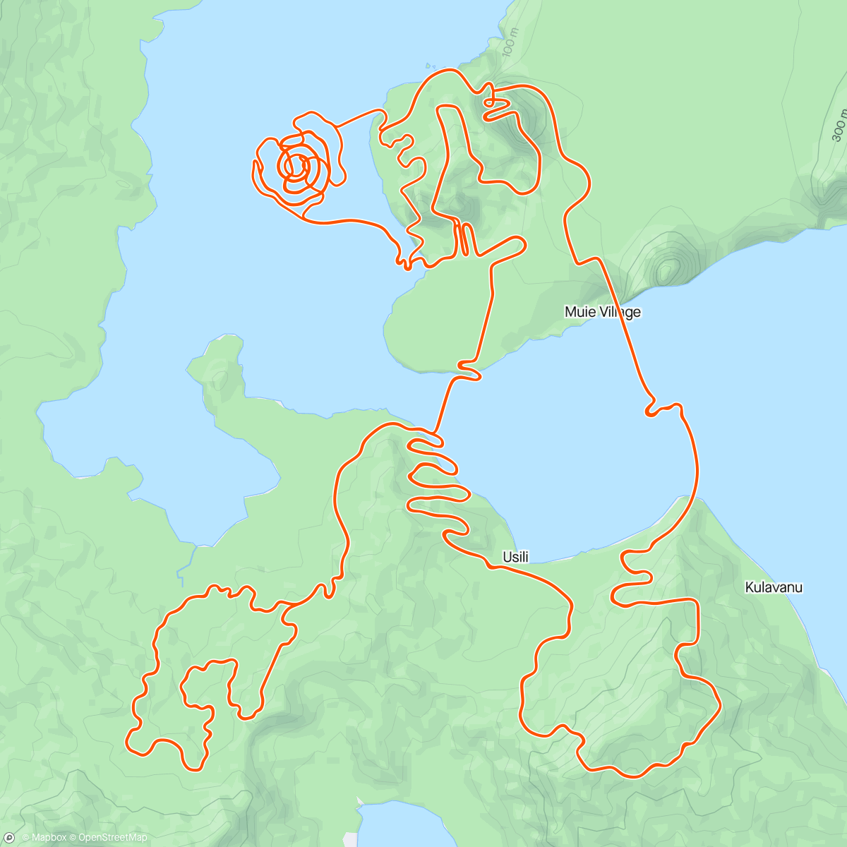 Map of the activity, Zwift - The Mega Pretzel in Watopia