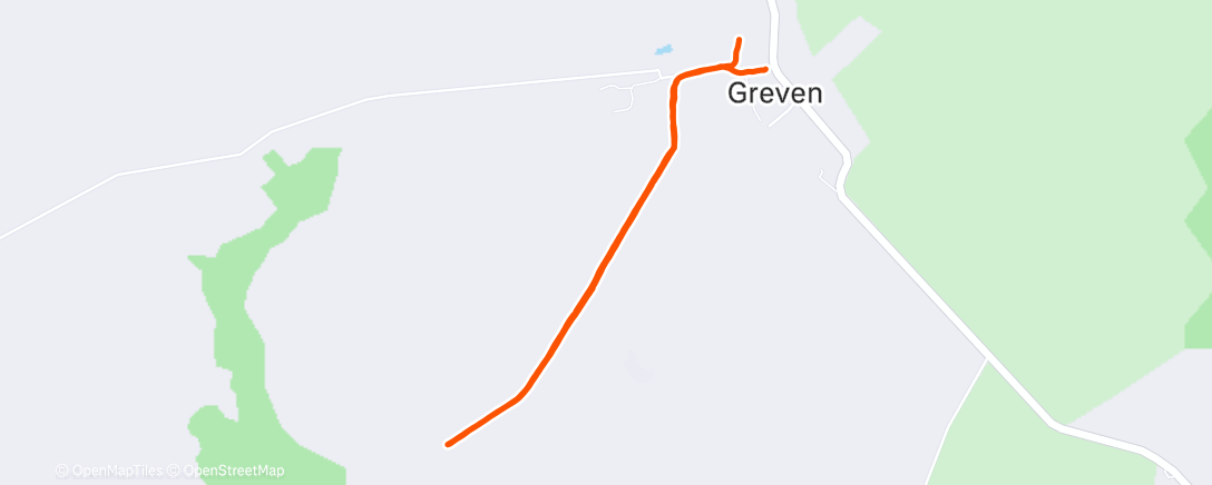 Карта физической активности (Hunde-Runde 🐾)