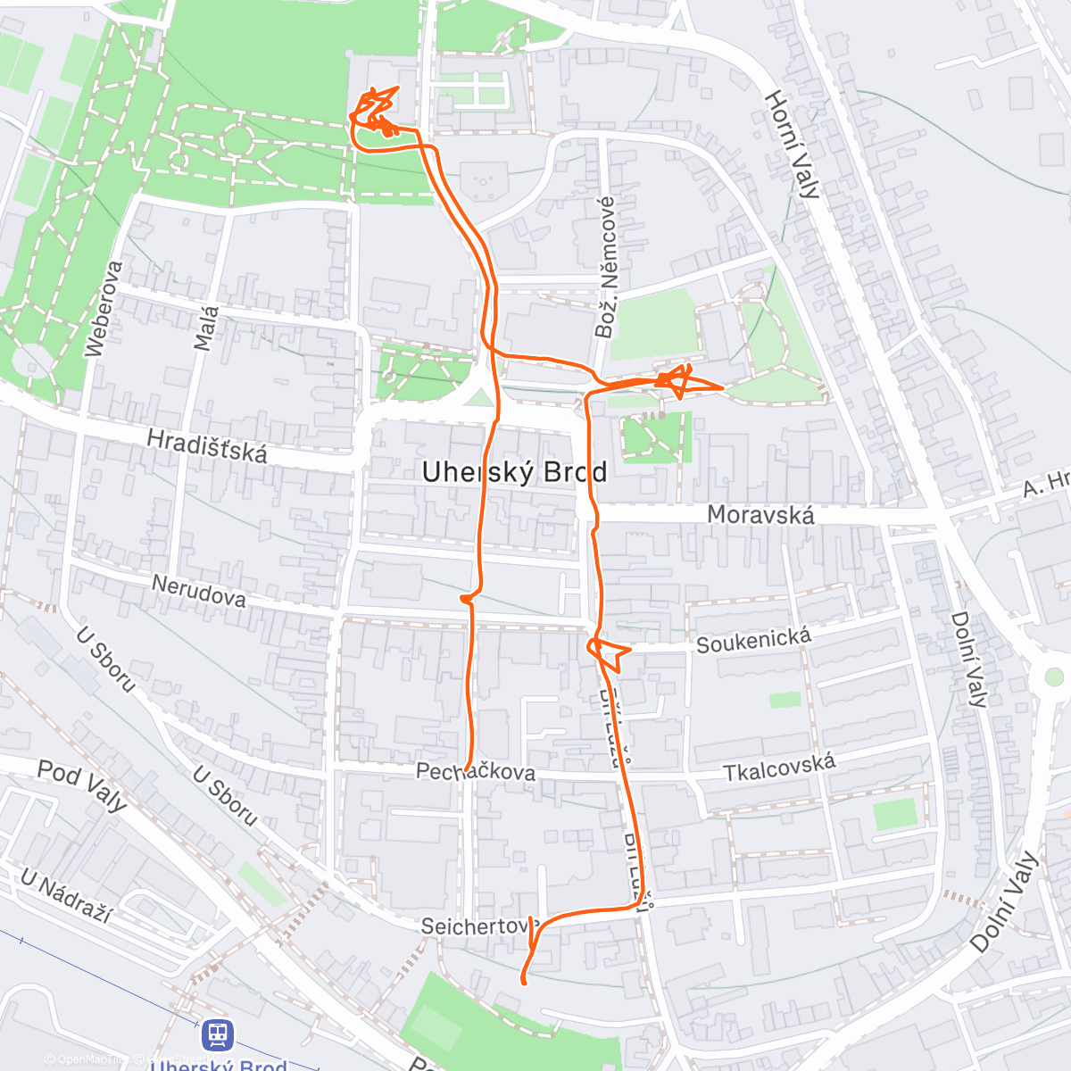 Карта физической активности (Uherský Brod s vnukama 🎄)