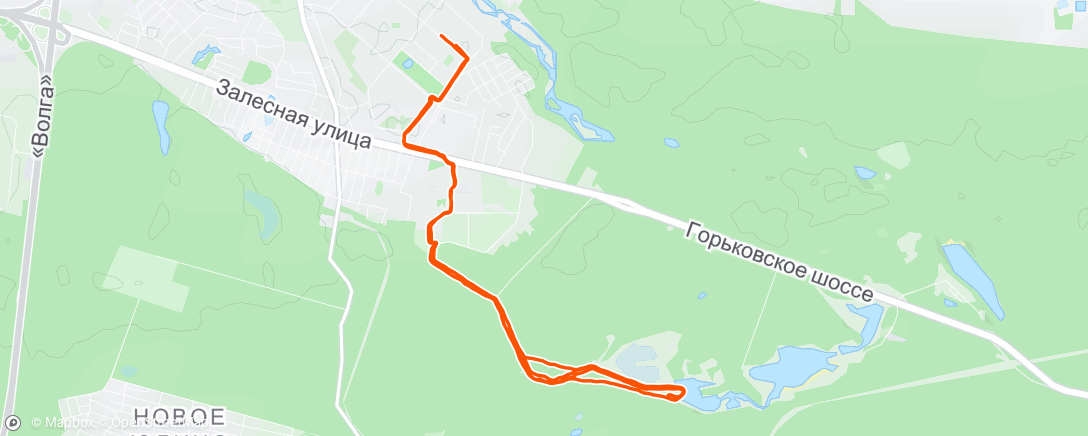 Map of the activity, Дневной забег