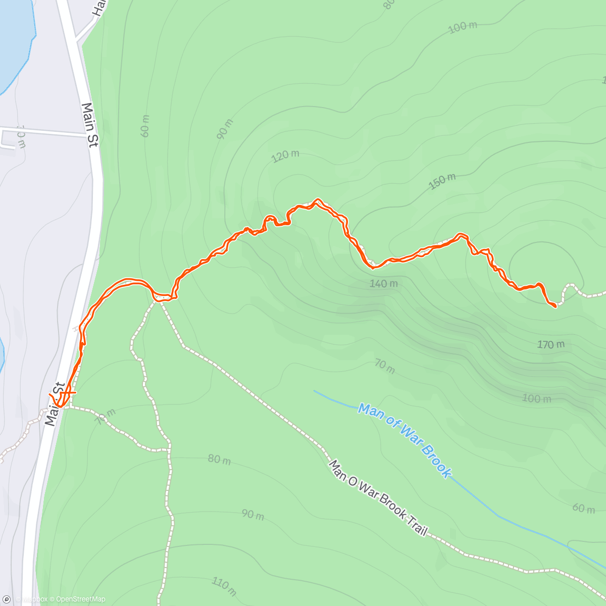 Map of the activity, Morning Walk