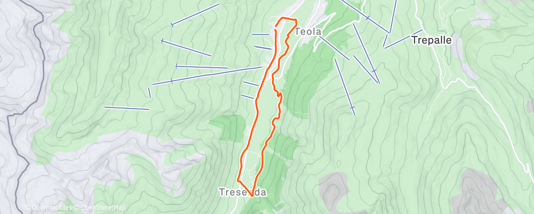 Map of the activity, Afternoon Run