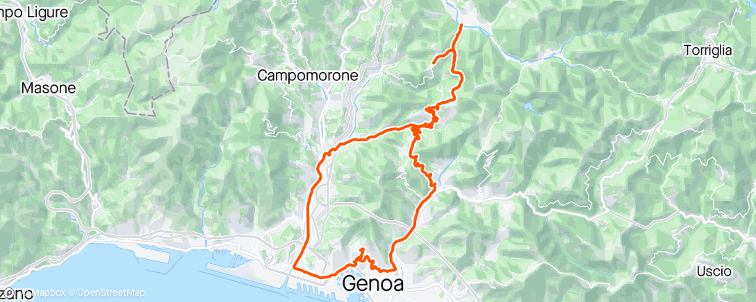 Карта физической активности (Genova Bolzaneto Santolcese Casella Santolcese Pino Genova)