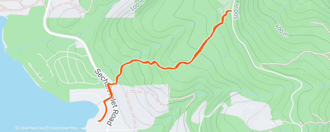 Map of the activity, NYD run and polar plunge ✨