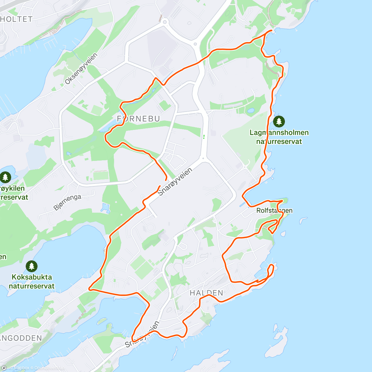 Map of the activity, Morning Trail Run