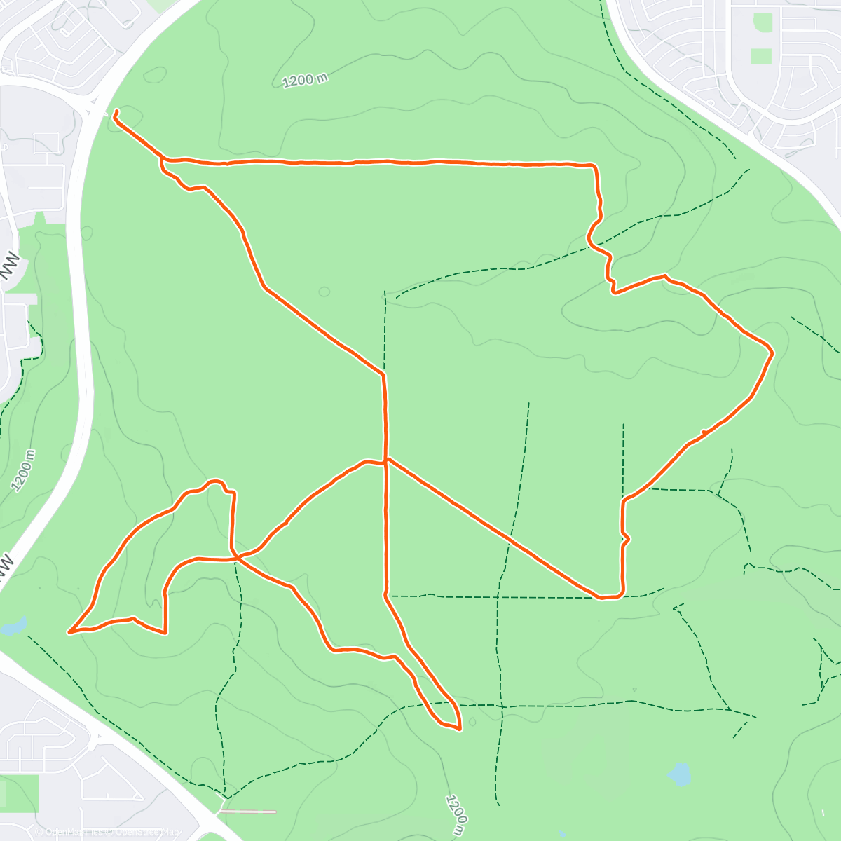 Карта физической активности (Nose Chill)