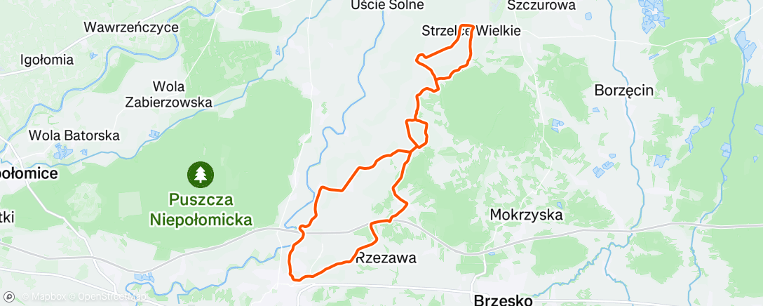 Map of the activity, Afternoon Ride