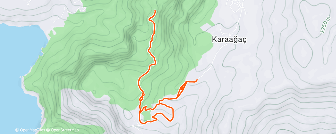 Карта физической активности (Утренний забег)