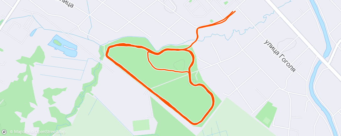 Mapa da atividade, Afternoon Run