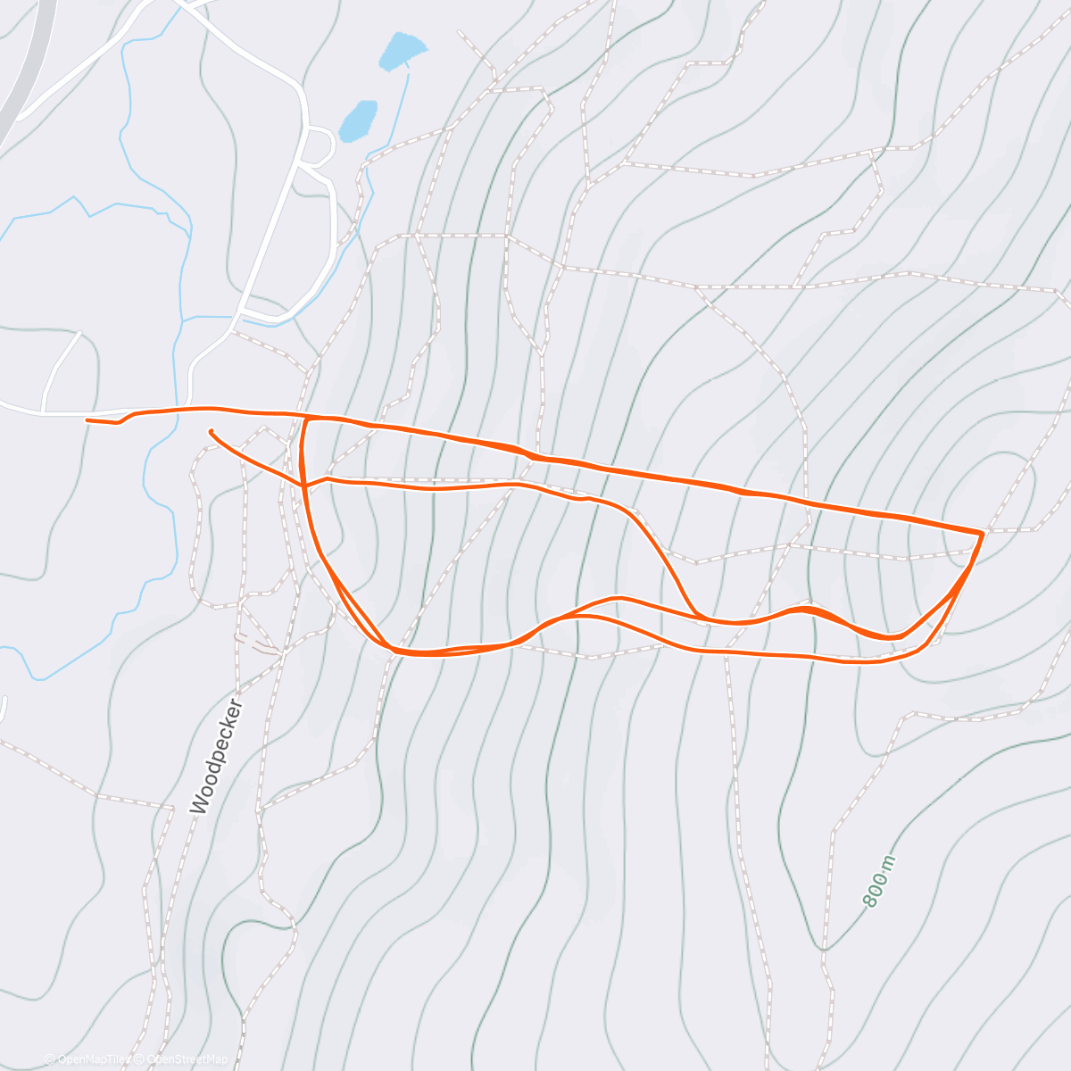 Map of the activity, Prospect Laps