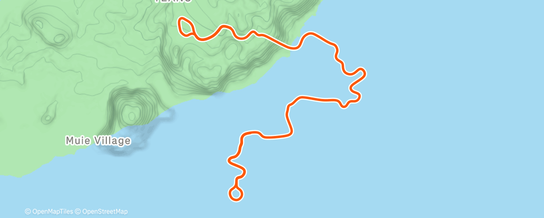 Map of the activity, Zwift - Watopia