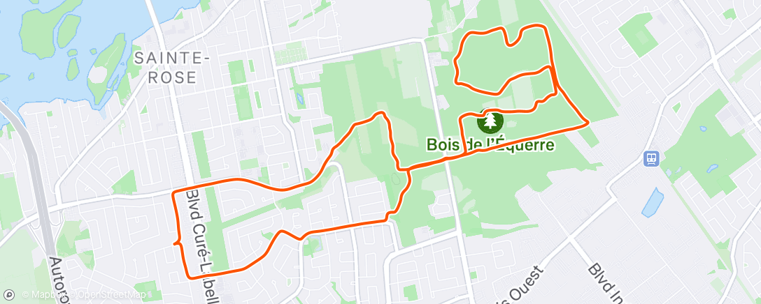 Map of the activity, Lunch Run