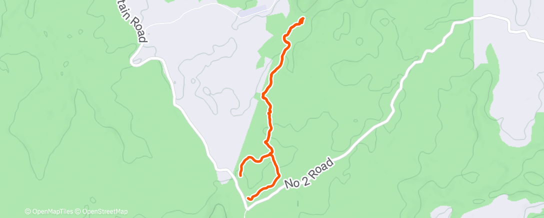 Карта физической активности (Morning Hike)